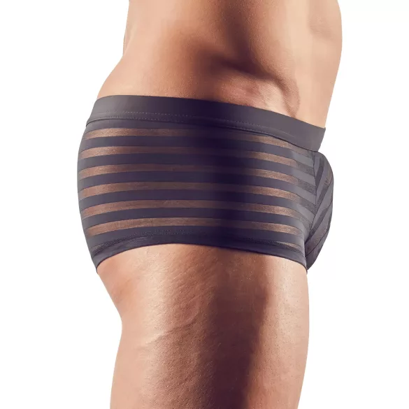 Boxer - permatomas dryžuotas - juodas - XL