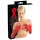 LATEX - ilgos unisex pirštinės - raudonos - M