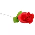 Panty Rose - moteriškos kelnaitės su rože - raudonos (S-L)