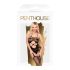 Penthouse Hot Nightfall - banguotas, atvira tinklelio komplektas (juoda)