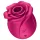 Satisfyer Pro 2 Classic Blossom - klitorio stimuliatorius su oro bangomis
