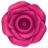 Satisfyer Pro 2 Classic Blossom - klitorio stimuliatorius su oro bangomis