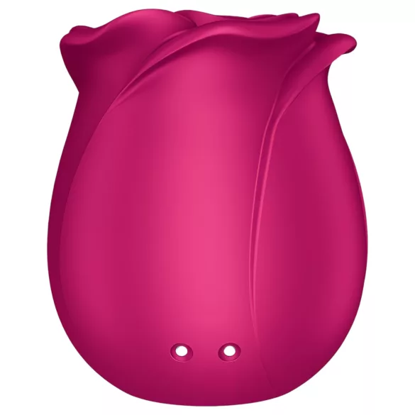 Satisfyer Pro 2 Classic Blossom - klitorio stimuliatorius su oro bangomis