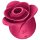 Satisfyer Pro 2 Rose Modern - raudonas klitorio stimuliatorius