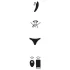 We-Vibe Moxie+ - nuotoliniu būdu valdomas, išmanus klitorio vibratorius (turkio spalvos)