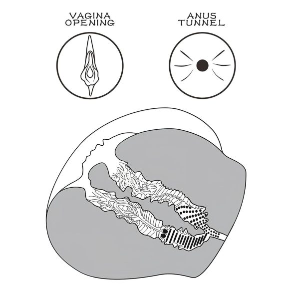Lovetoy Streetgirl's 12 - dirbtinė makštis torsas su tanga - tamsi natūrali