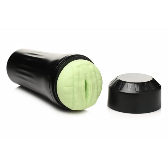 Raptor - jaudinantis reptilija (juoda-žalia)