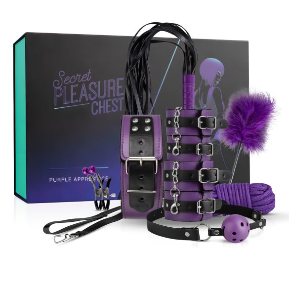 Slapti malonumai - pažengusių BDSM rinkinys (14 dalių)