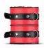 Secret Pleasure Chest - pažengusių BDSM rinkinys - 10 dalių - raudonas