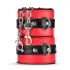 Secret Pleasure Chest - pažengusių BDSM rinkinys - 10 dalių - raudonas